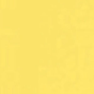 Meet your Posher, Ava